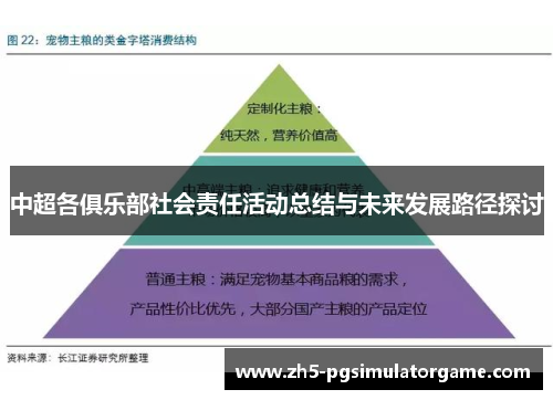 中超各俱乐部社会责任活动总结与未来发展路径探讨