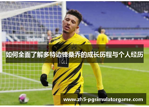 如何全面了解多特边锋桑乔的成长历程与个人经历