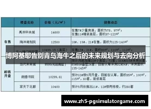 博阿基耶告别青岛海牛之后的未来规划与去向分析