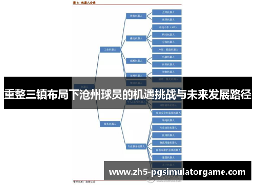 重整三镇布局下沧州球员的机遇挑战与未来发展路径