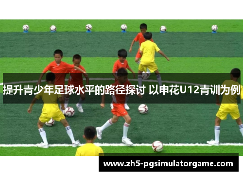 提升青少年足球水平的路径探讨 以申花U12青训为例