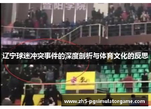 辽宁球迷冲突事件的深度剖析与体育文化的反思