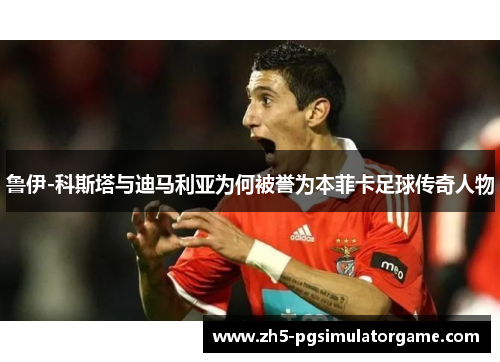 鲁伊-科斯塔与迪马利亚为何被誉为本菲卡足球传奇人物