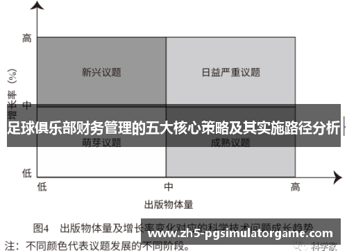 足球俱乐部财务管理的五大核心策略及其实施路径分析
