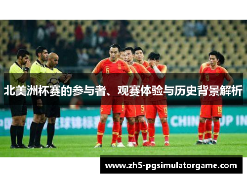 北美洲杯赛的参与者、观赛体验与历史背景解析