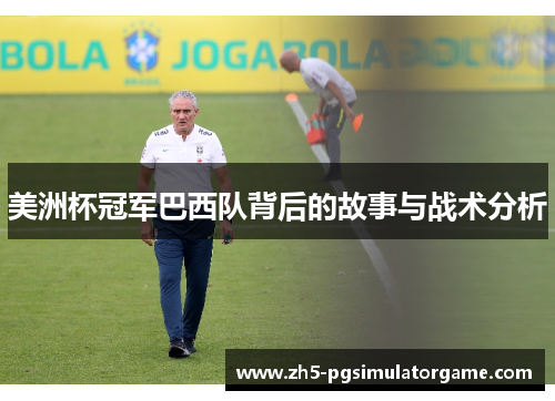 美洲杯冠军巴西队背后的故事与战术分析