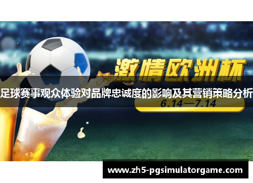 足球赛事观众体验对品牌忠诚度的影响及其营销策略分析
